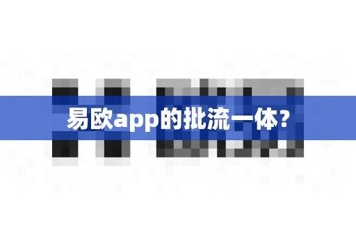 易欧app的批流一体？