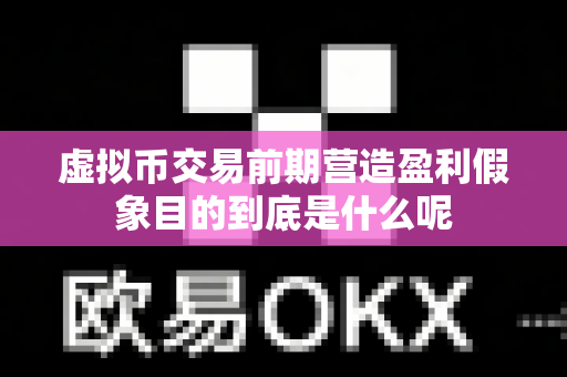虚拟币交易前期营造盈利假象目的到底是什么呢