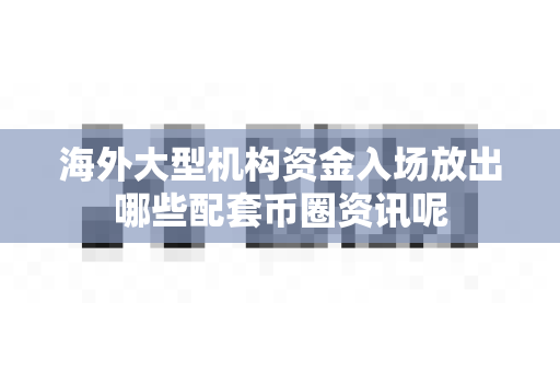 海外大型机构资金入场放出哪些配套币圈资讯呢