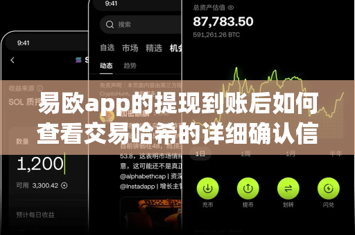 易欧app的提现到账后如何查看交易哈希的详细确认信息？