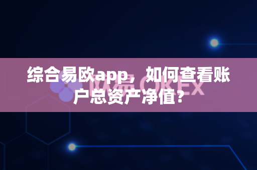 综合易欧app，如何查看账户总资产净值？-第1张图片-易欧app-全球最大的比特币交易所【官方网站】