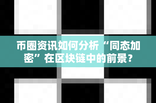 币圈资讯如何分析“同态加密”在区块链中的前景？-第1张图片-易欧app-全球最大的比特币交易所【官方网站】